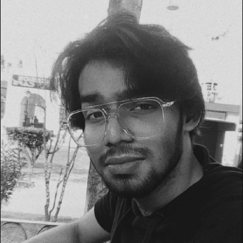 developer picture
